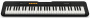 Синтезатор Casio CT-S100
