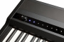 Цифровое пианино Kurzweil MPS110