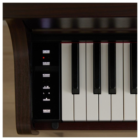 Цифровое пианино Casio Celviano AP-300BN
